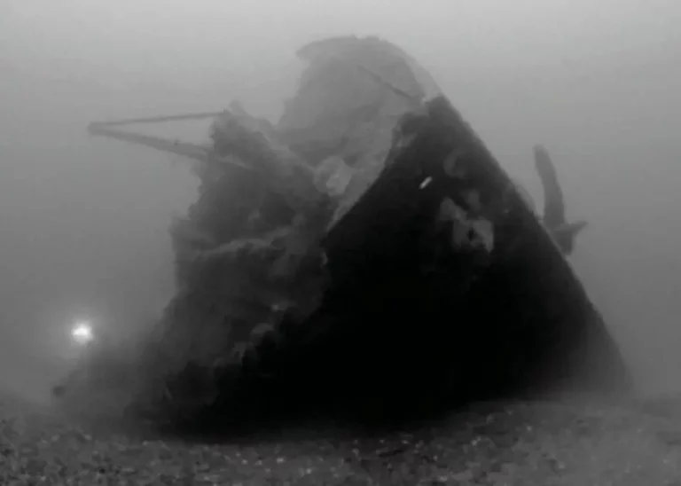 大西洋深处的沉船残骸，可见度惊人——主图为白星号客轮卡林西亚号