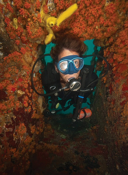 Plongeur sur l'épave du Jane Sea