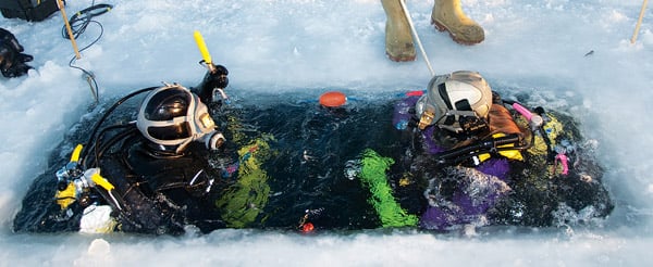 Divers returning to the Ice Station Rothers, collection complete