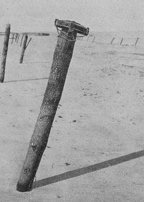 seaward-pointing log with mine attached to top