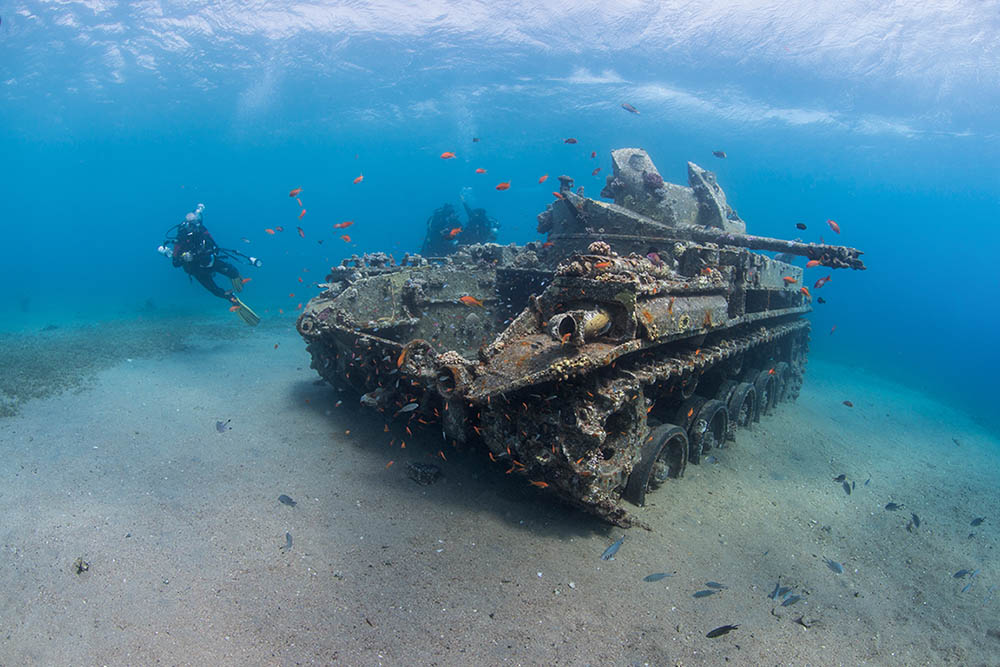 The Tank wreck is popular with all levels of diver.