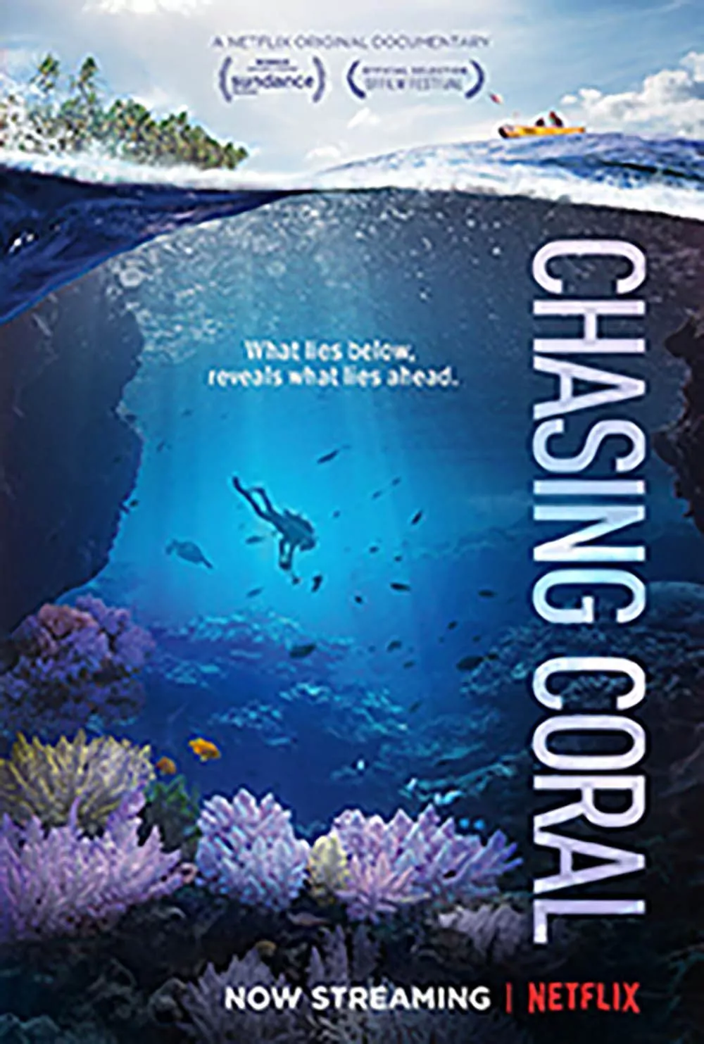 AFFICHE DU FILM À LA CHASE DU CORAIL