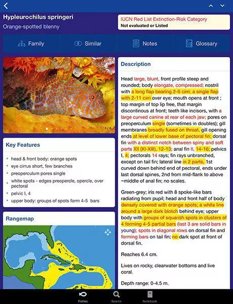 Petikan skrin Panduan Pengenalpastian Shore Fishes of the Greater Caribbean