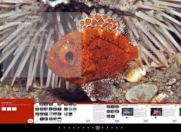 Captura de pantalla de Identificación de peces Florida Bahamas Caribe