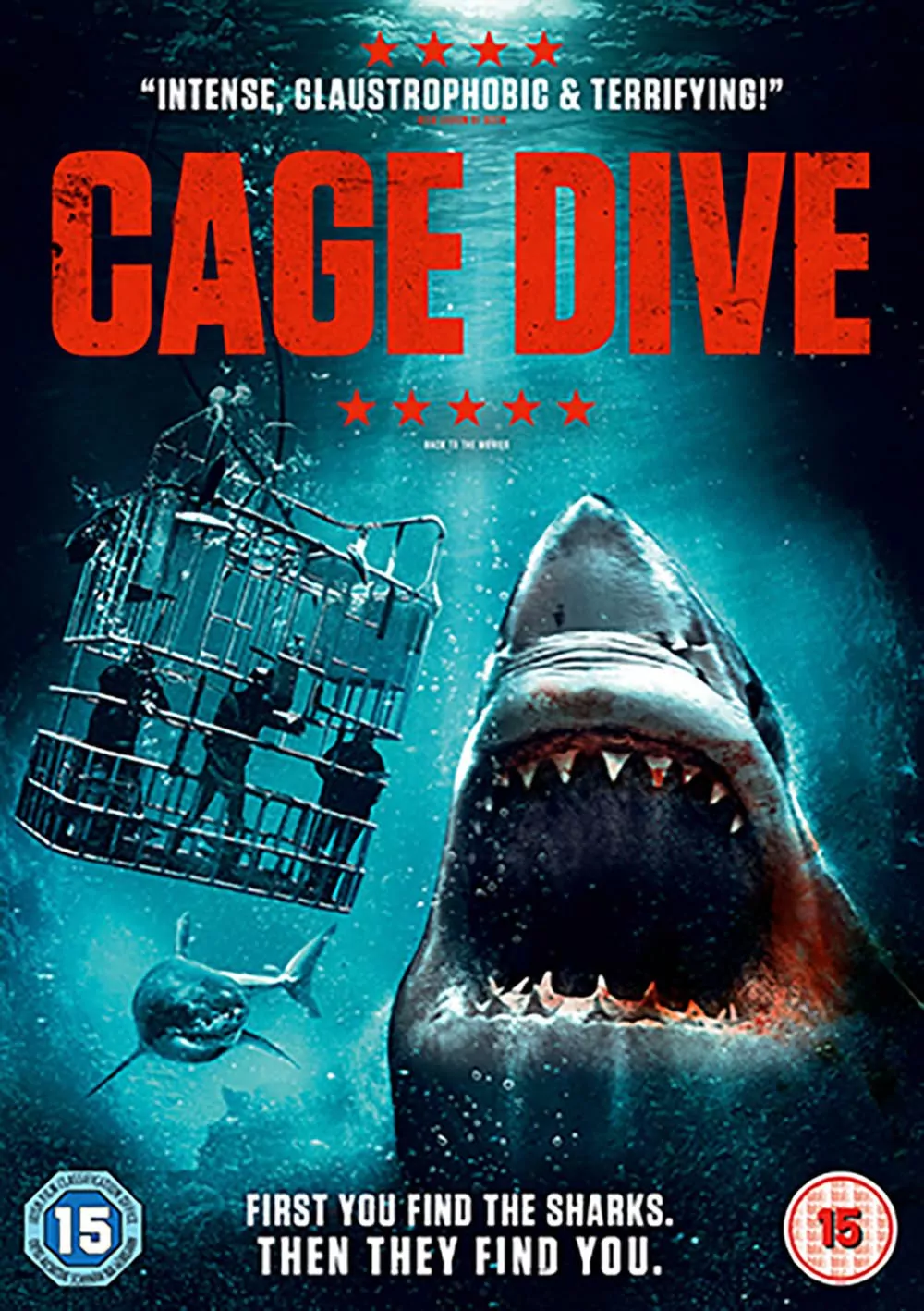 broken shark cage diving