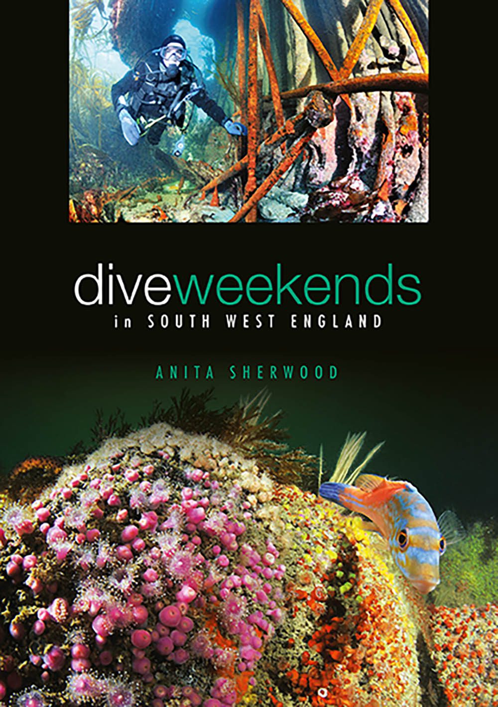 1217 reviews dive weekends