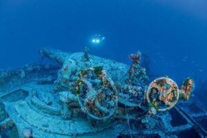 Polynesien stern gun