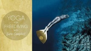 Reviews yoga for freediving