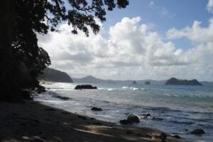 Hahei beach