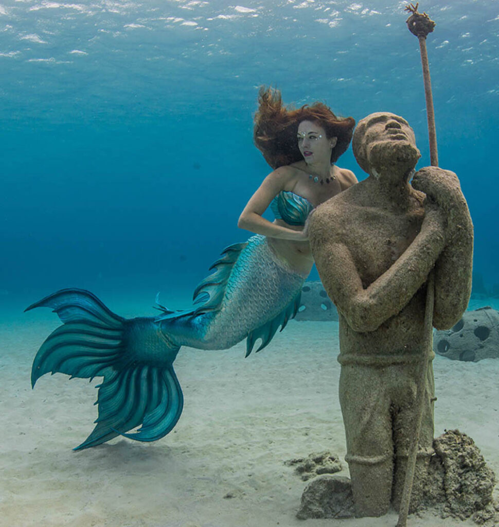 mermaid-definition-and-meaning-with-pictures-picture-dictionary-books