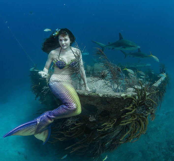 With sharks on the Twin Sisters wreck in the Bahamas at 13m.