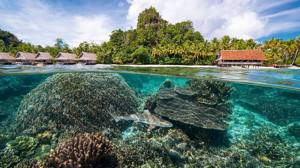 0618 raja ampat raja4divers house reef