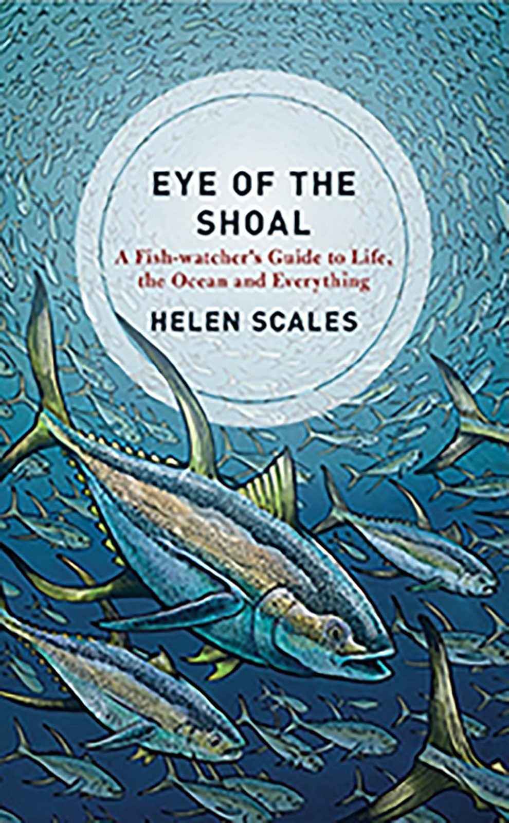 0618 review eye of shoal