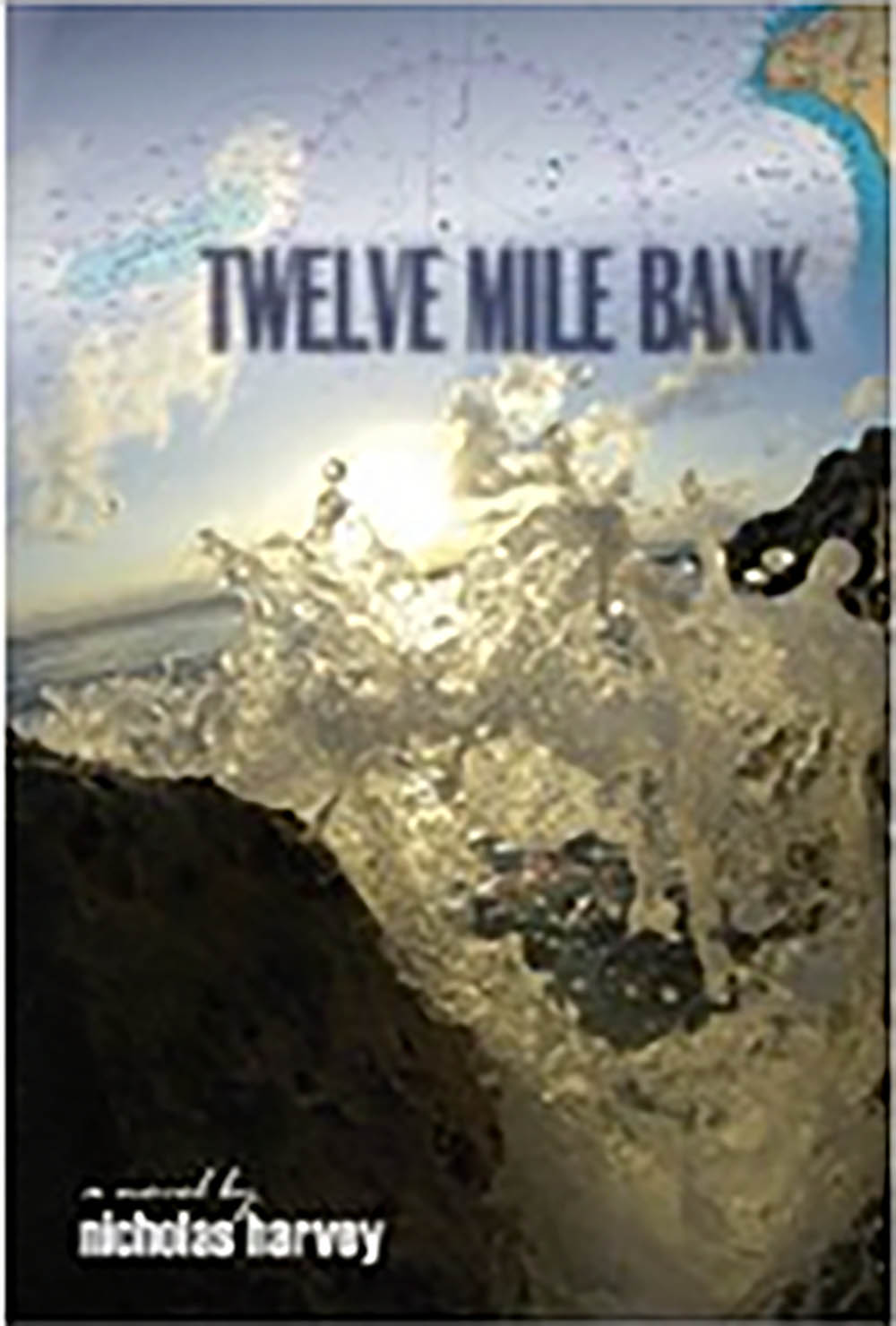 0318 recensioner tolv mil bank