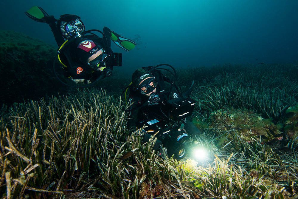 03 18 formentera seagrass beds