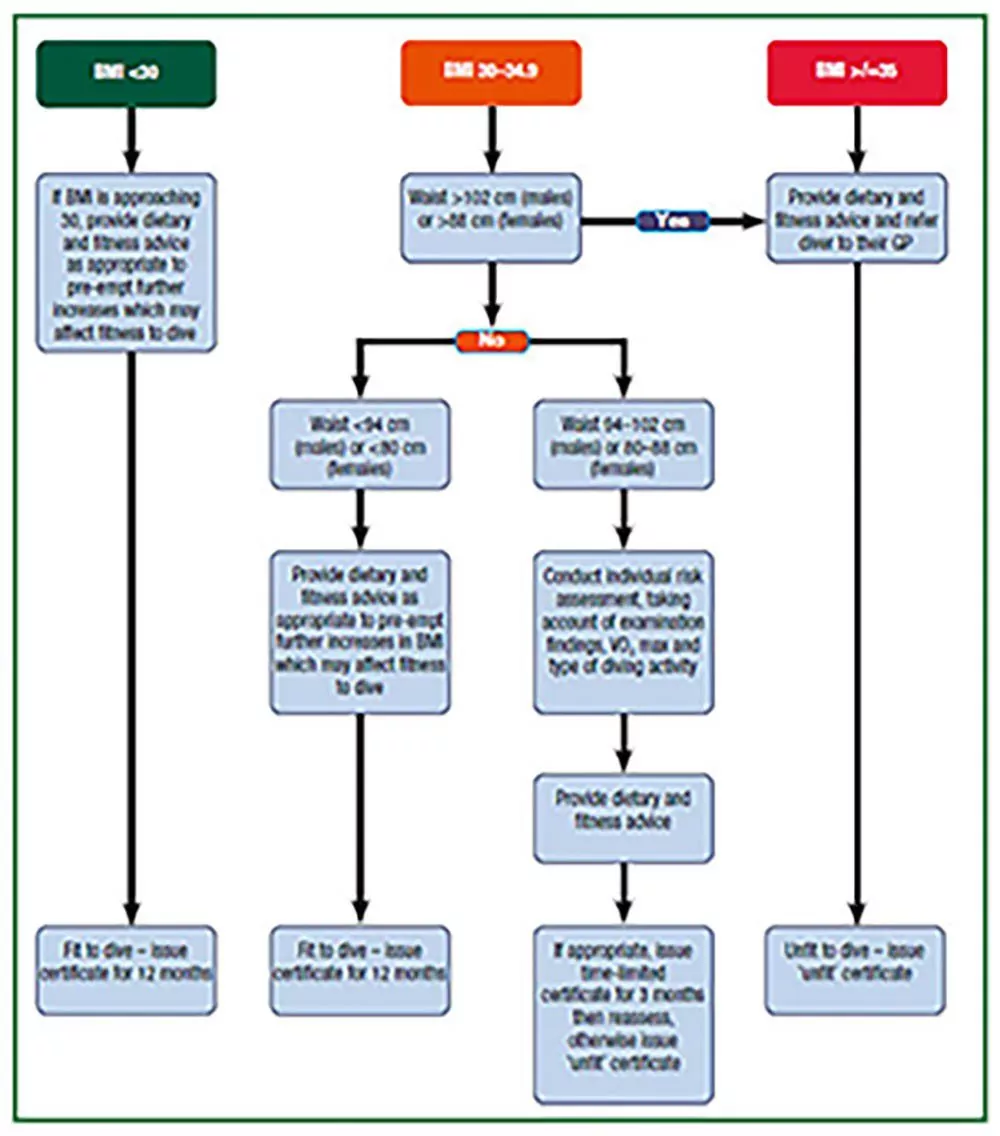 Figure 3 – Guidelines set for BMI, from HSE MA1 guidance notes.