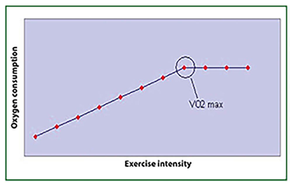 Figure 4 – Oxygen consumption relative to exercise intensity.
Source: DAN Recreational Diving Fatalities Workshop 2010.