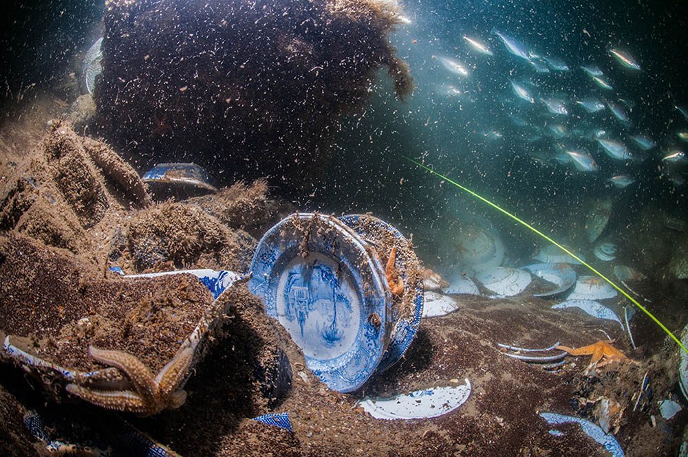 Морские звезды среди посуды на морском дне.