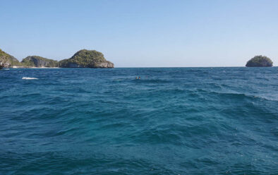 0718 technique surface marker buoy