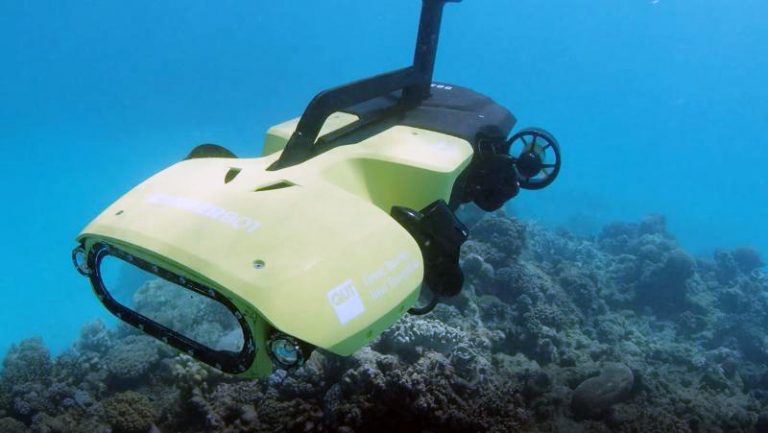 Robot goes on reef patrol