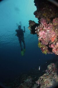 Maldives diver on a On a safety-stop.