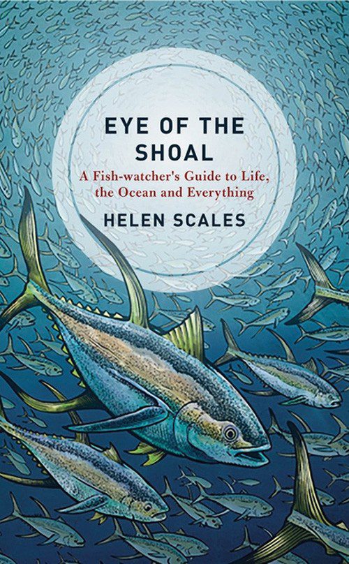 Eye of the Shoal: A Fishwatcher’s Guide to Life, the Oceans and Everything, by Helen Scales