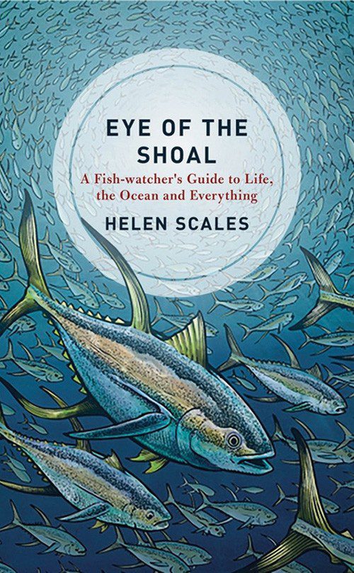 Eye of the Shoal: Gwida għall-Għassa tal-Ħut għall-Ħajja, l-Oċeani u Kollox, minn Helen Scales