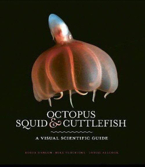 Octopus, Squid, Cuttlefish:  A Visual Scientific Guide, by Roger Hanlon, Mike Vecchione & Louise Allcock