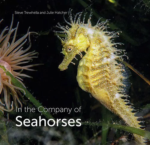 In the Company of Seahorses, by Steve Trewhella &  Julie Hatcher