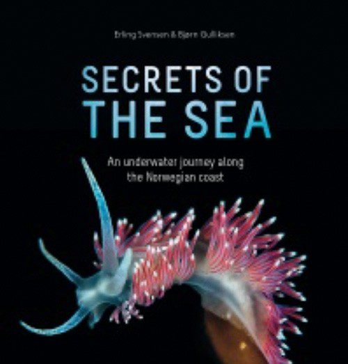 Secrets of the Sea: An Underwater Journey Along the Norwegian Coast, by Erling Svensen & Bjorn Gulliksen