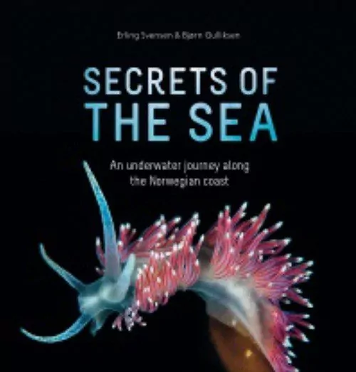 Secrets de la mer :  Un voyage sous-marin le long de la côte norvégienne, par Erling Svensen et Bjorn Gulliksen