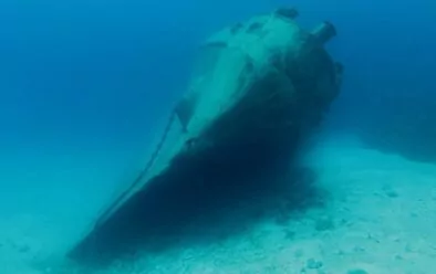 0219 caymans Kittiwake