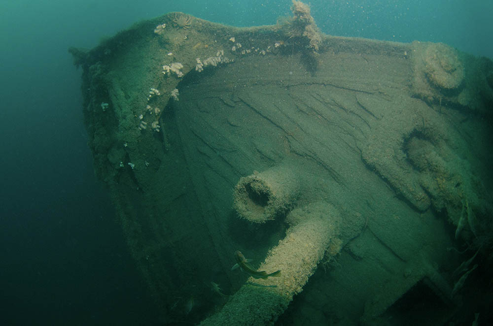 Bow of the Alaunia with its deck-planking visible.