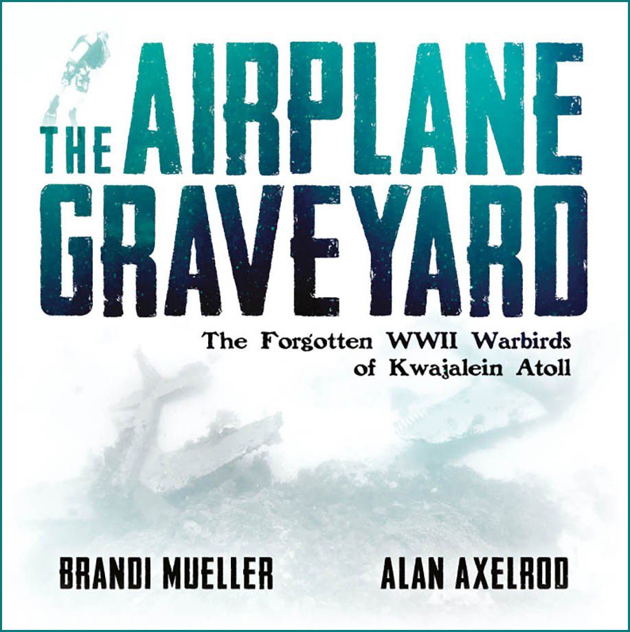0319 airplane cover2