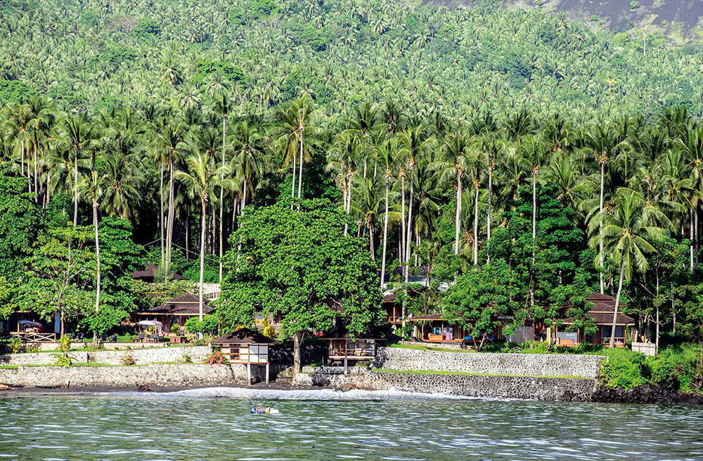 0519 indo lembeh factfile