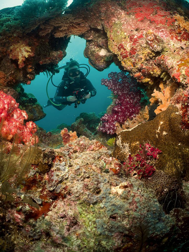A window in the reef at Pulau Dua is decorated with soft corals.