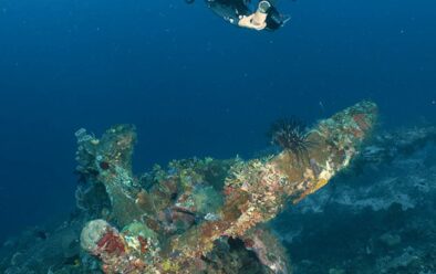 Propel fra P-47 flyet på Wai Island.