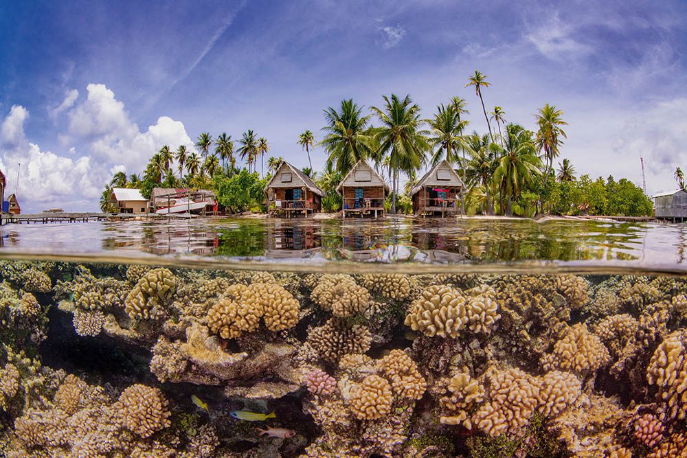 Over water, prachtige resorts en palmbomen in een superheldere lucht. Onder water, bijna 1 meter diep, kleurrijke en ongerepte harde koralen met enkele rifvissen