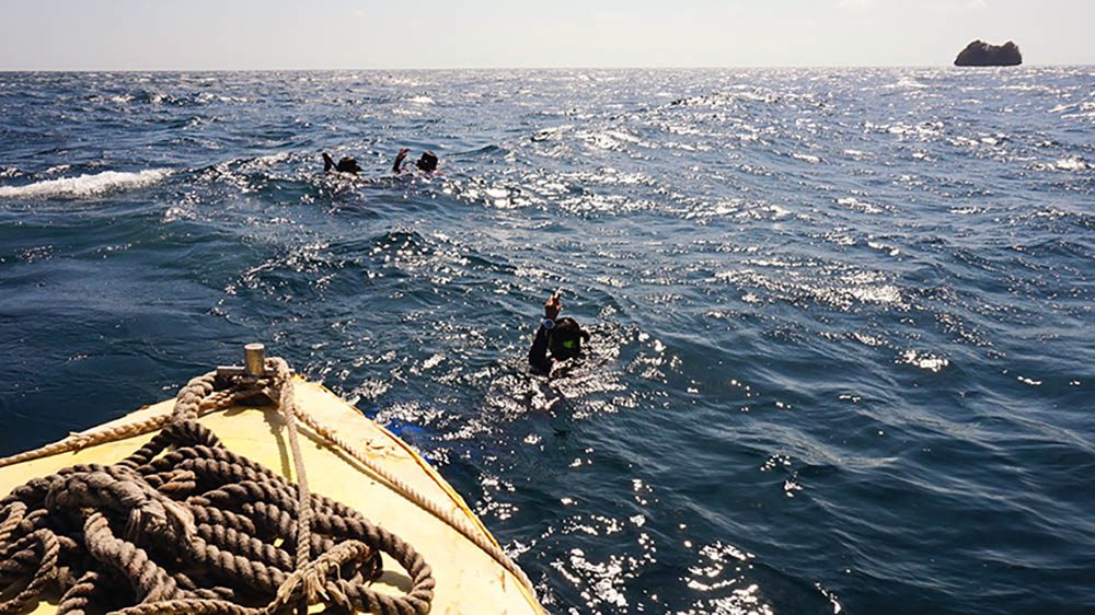 0619 technique divers descend