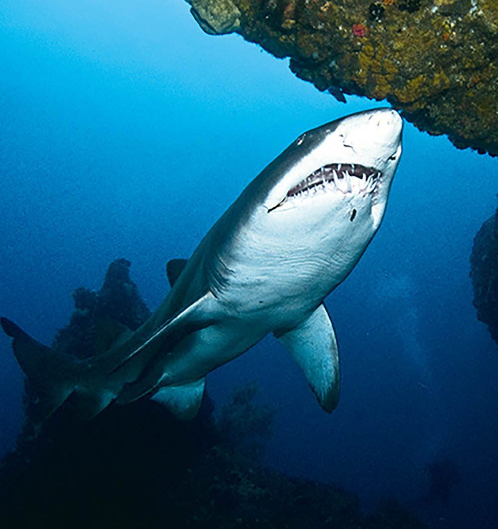 0719 Aħbarijiet dwar l-ivvjaġġar oonasdivers