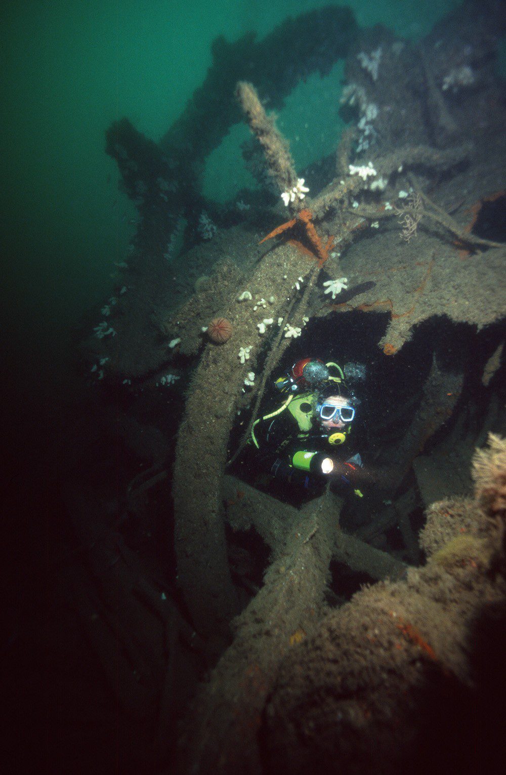 Swimming through the propeller-shaft tunnel of the Persier.