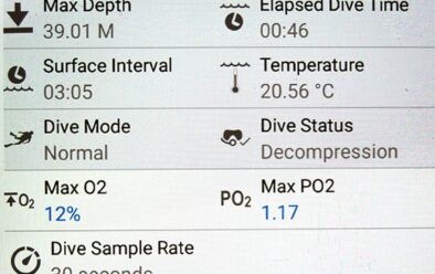 Basic dive data for the Rosalie Moller wreck dive from the DiverLog+ app.