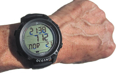 0819 geo4 on wrist