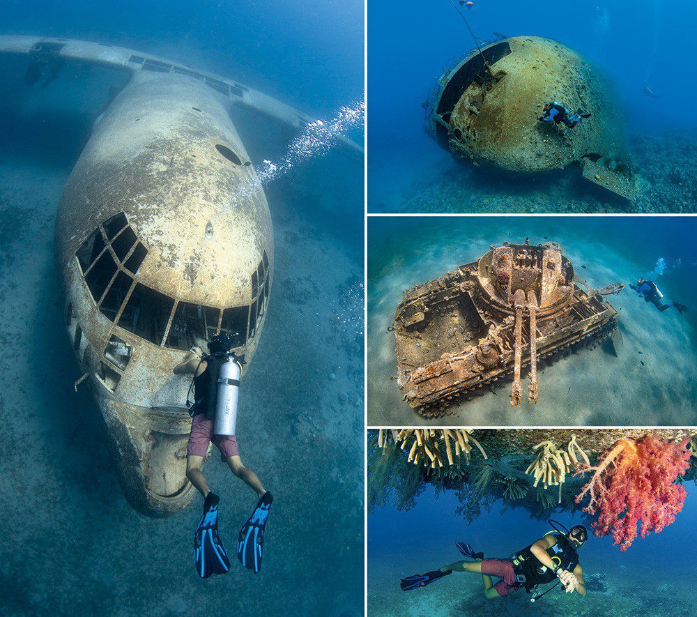Clockwise from left: Earlier Aqaba sinking – the Hercules transport; the Cedar Pride shipwreck; the Tank; a couple of years’ growth on the Hercules.