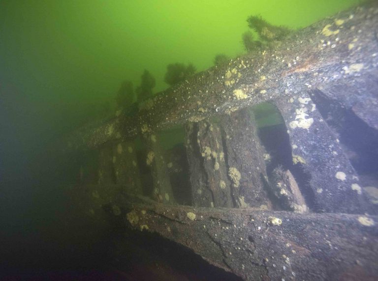 Well-preserved timbers on one of the wrecks. (Picture: Jim Hansson / Vrak / SMTM)