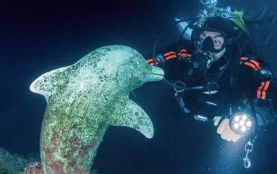 The statue that gives Dolphin Cave its name.