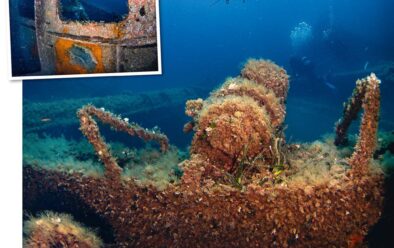 Clockwise from topleft: Inside the wheelhouse of the Angelika; Alex swims over the wreck; its gantry; a fusebox; and a mangled ladder.