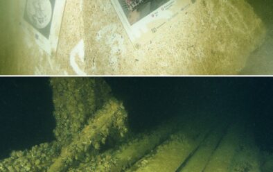 Frozen in Time 4 Top: Wreck info block for the Figurehead wreck. Above: Well-preserved wooden decking on the wreck.