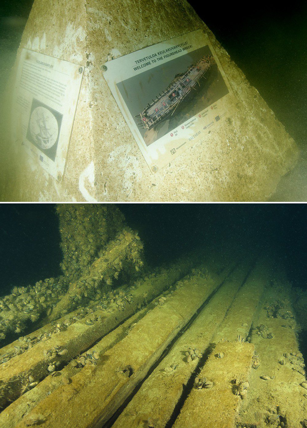 Top: Wreck info block for the Figurehead wreck. Above: Well-preserved wooden decking on the wreck.