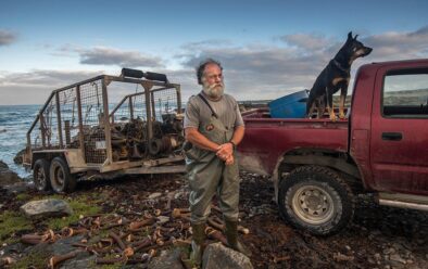 Commercial kelp harvester John and his dog Bruce with a trailer of bull kelp on King Island, Tasmania.